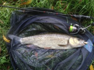 From 28, caught on lure you can still see in its mouth...